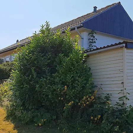 4 Person In Augustenborg-by Traum